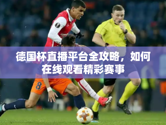德国杯直播平台全攻略，如何在线观看精彩赛事