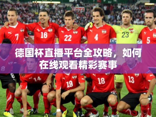 德国杯直播平台全攻略，如何在线观看精彩赛事
