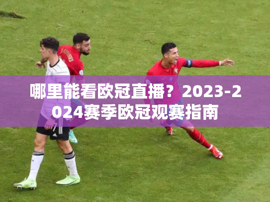 哪里能看欧冠直播？2023-2024赛季欧冠观赛指南