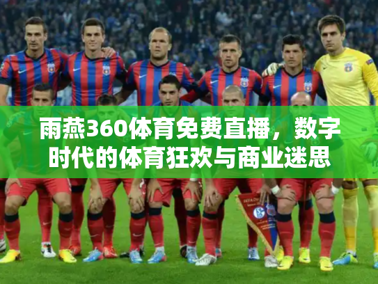 雨燕360体育免费直播，数字时代的体育狂欢与商业迷思