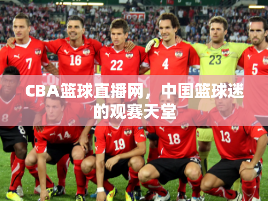 CBA篮球直播网，中国篮球迷的观赛天堂