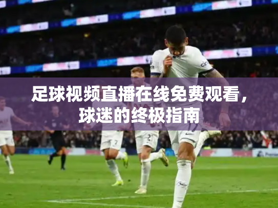足球视频直播在线免费观看，球迷的终极指南