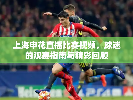 上海申花直播比赛视频，球迷的观赛指南与精彩回顾