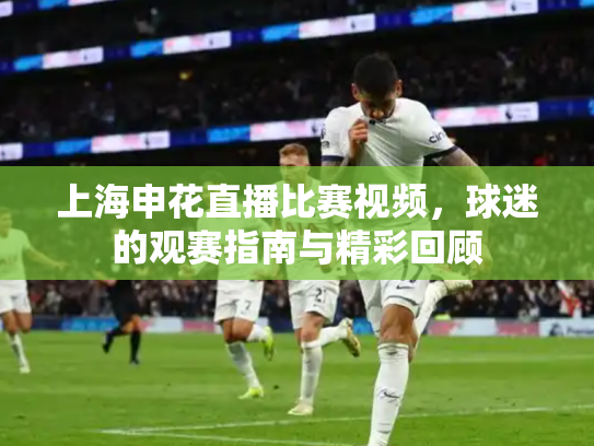 上海申花直播比赛视频，球迷的观赛指南与精彩回顾