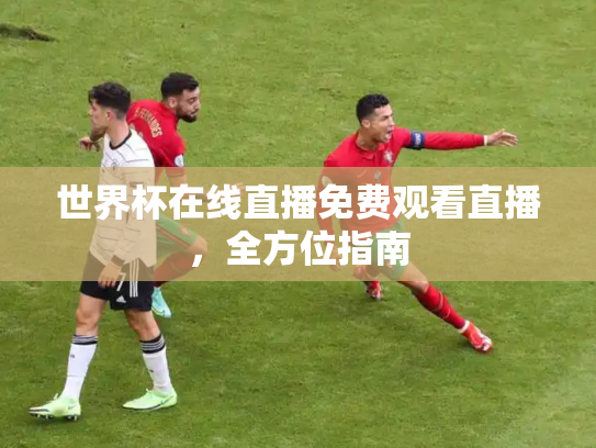 世界杯在线直播免费观看直播，全方位指南