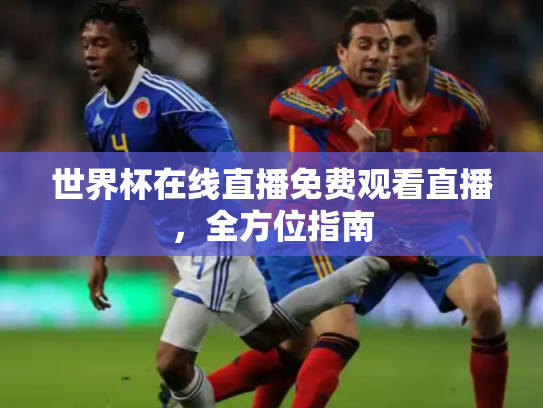世界杯在线直播免费观看直播，全方位指南