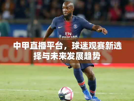 中甲直播平台，球迷观赛新选择与未来发展趋势