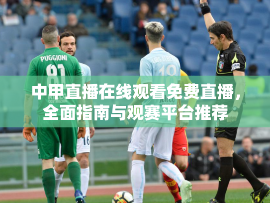 中甲直播在线观看免费直播，全面指南与观赛平台推荐