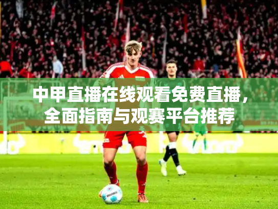 中甲直播在线观看免费直播，全面指南与观赛平台推荐