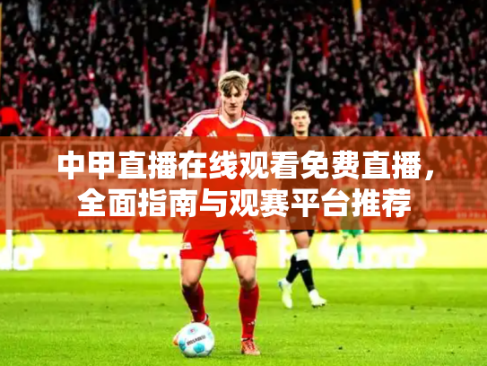 中甲直播在线观看免费直播，全面指南与观赛平台推荐