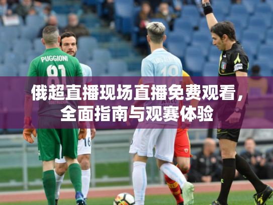 俄超直播现场直播免费观看，全面指南与观赛体验