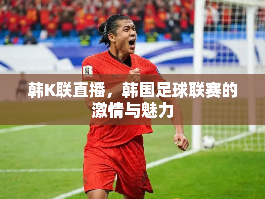 韩K联直播，韩国足球联赛的激情与魅力