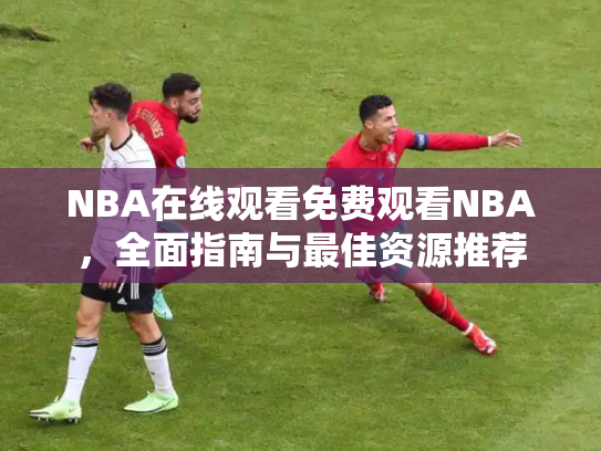 NBA在线观看免费观看NBA，全面指南与最佳资源推荐