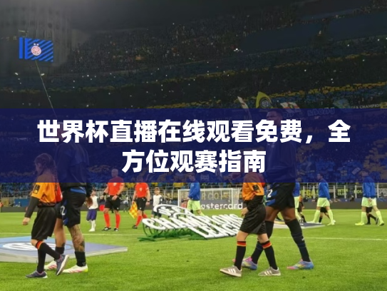 世界杯直播在线观看免费，全方位观赛指南