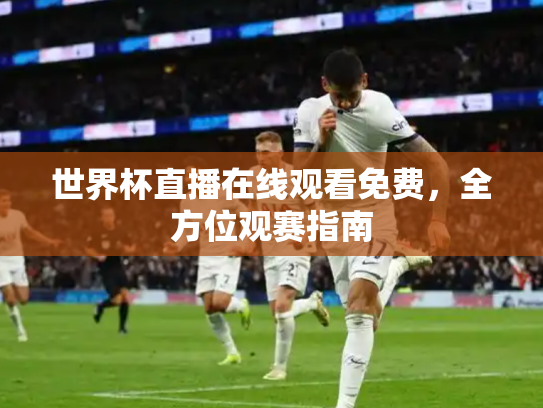 世界杯直播在线观看免费，全方位观赛指南