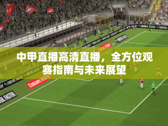 中甲直播高清直播，全方位观赛指南与未来展望
