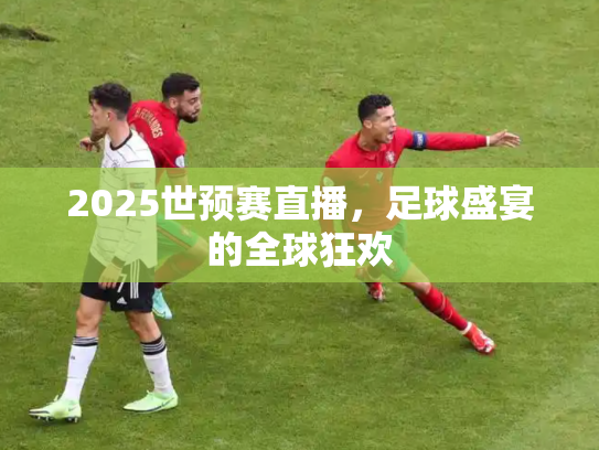 2025世预赛直播，足球盛宴的全球狂欢
