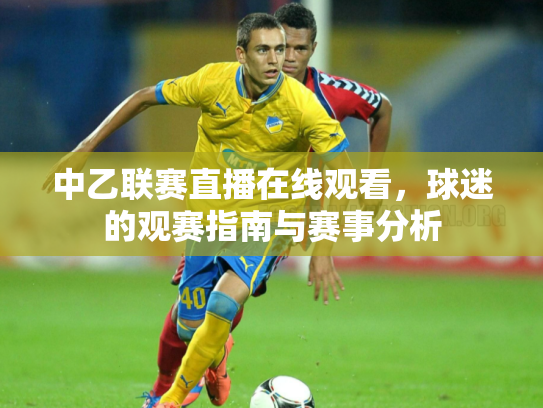 中乙联赛直播在线观看，球迷的观赛指南与赛事分析