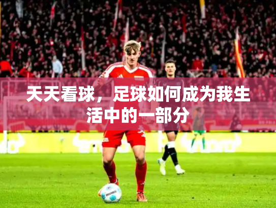 天天看球，足球如何成为我生活中的一部分