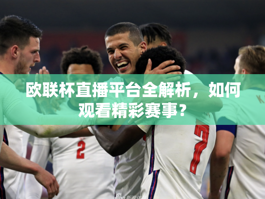 欧联杯直播平台全解析，如何观看精彩赛事？