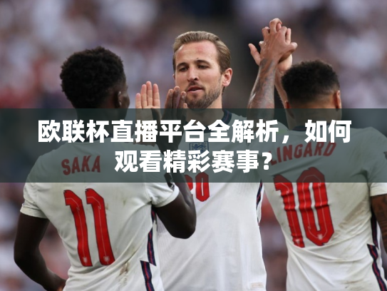 欧联杯直播平台全解析，如何观看精彩赛事？
