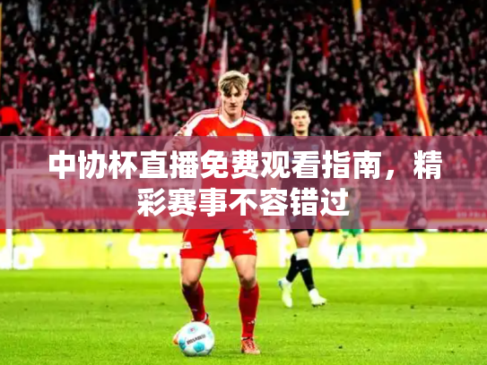 中协杯直播免费观看指南，精彩赛事不容错过