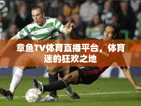 章鱼TV体育直播平台，体育迷的狂欢之地