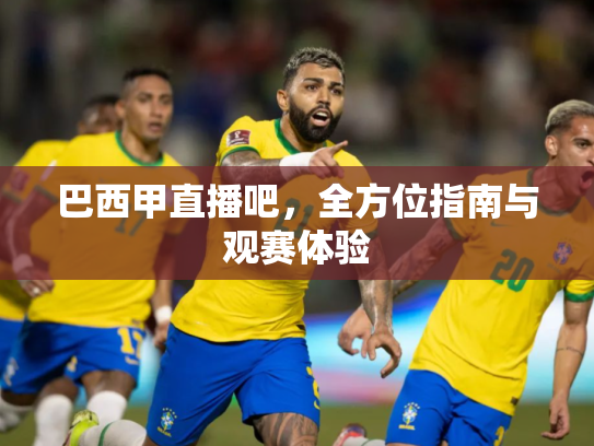 巴西甲直播吧，全方位指南与观赛体验