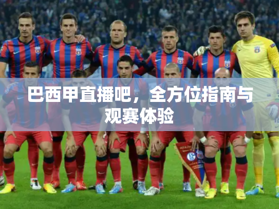 巴西甲直播吧，全方位指南与观赛体验