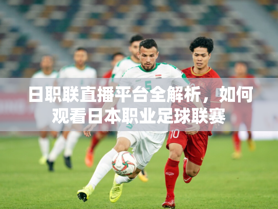 日职联直播平台全解析，如何观看日本职业足球联赛