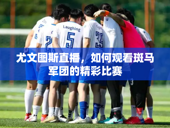 尤文图斯直播，如何观看斑马军团的精彩比赛