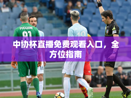 中协杯直播免费观看入口，全方位指南