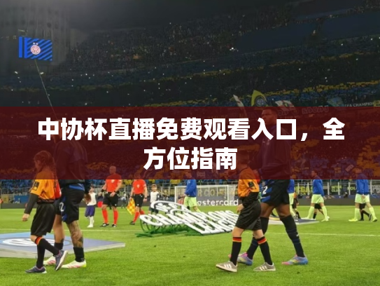 中协杯直播免费观看入口，全方位指南
