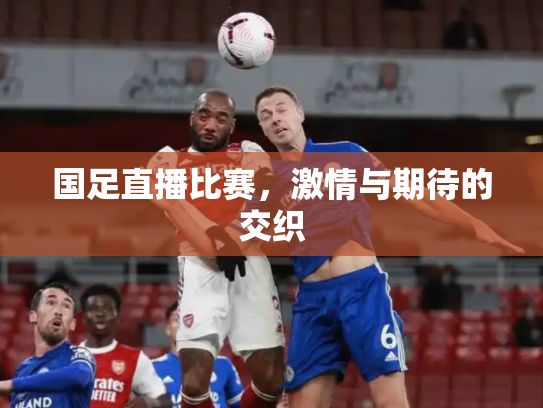国足直播比赛，激情与期待的交织