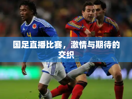国足直播比赛，激情与期待的交织