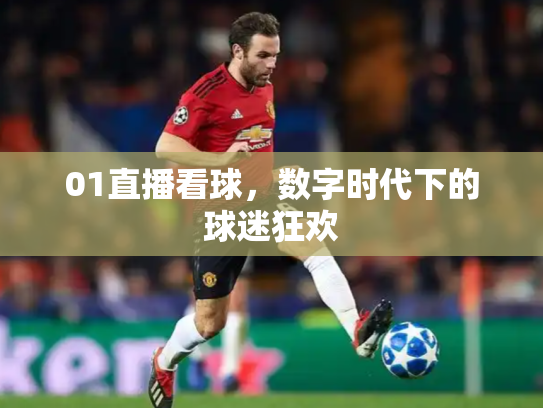 01直播看球，数字时代下的球迷狂欢