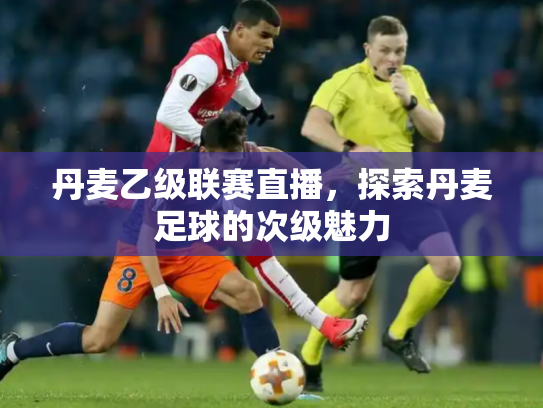 丹麦乙级联赛直播，探索丹麦足球的次级魅力