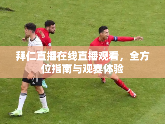 拜仁直播在线直播观看，全方位指南与观赛体验