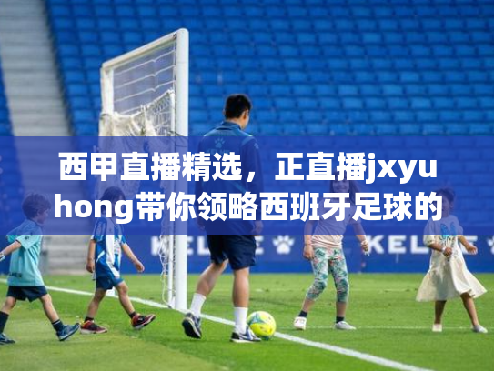 西甲直播精选，正直播jxyuhong带你领略西班牙足球的魅力