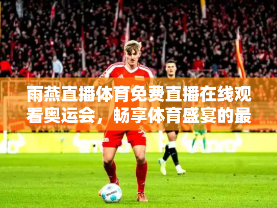 雨燕直播体育免费直播在线观看奥运会，畅享体育盛宴的最佳选择