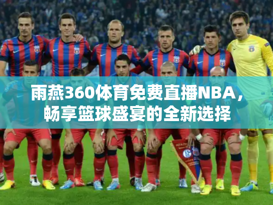 雨燕360体育免费直播NBA，畅享篮球盛宴的全新选择