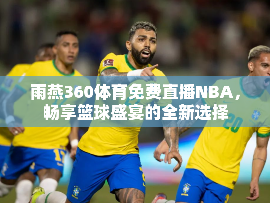 雨燕360体育免费直播NBA，畅享篮球盛宴的全新选择