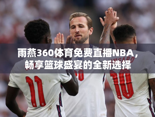 雨燕360体育免费直播NBA，畅享篮球盛宴的全新选择