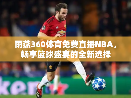 雨燕360体育免费直播NBA，畅享篮球盛宴的全新选择