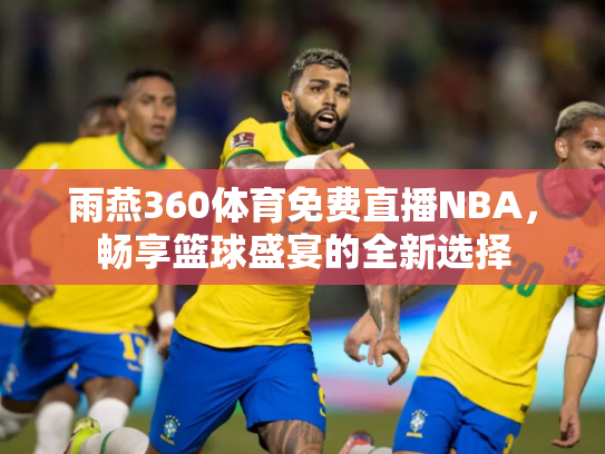 雨燕360体育免费直播NBA，畅享篮球盛宴的全新选择