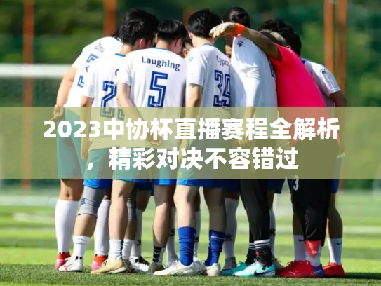 2023中协杯直播赛程全解析，精彩对决不容错过