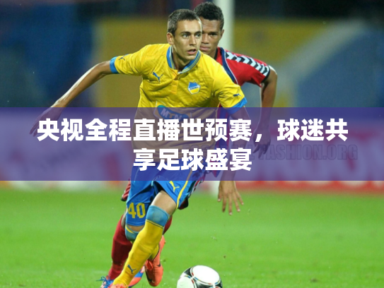 央视全程直播世预赛，球迷共享足球盛宴