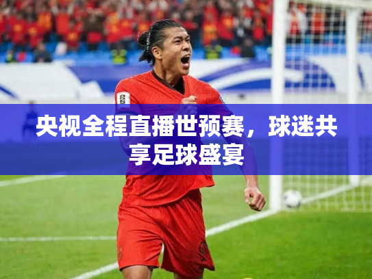 央视全程直播世预赛，球迷共享足球盛宴