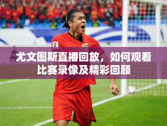 尤文图斯直播回放，如何观看比赛录像及精彩回顾