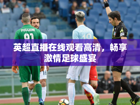 英超直播在线观看高清，畅享激情足球盛宴